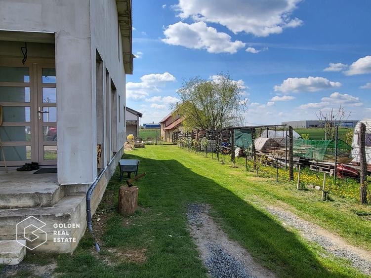 Casa P+M, Frumuseni - 18