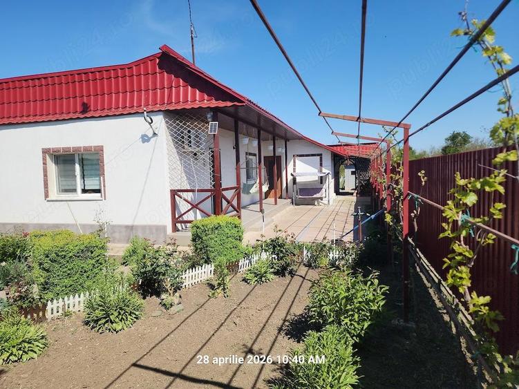 Vand casa com. Tudor Vladimirescu, jud. Braila (15 Km de Braila) - 45.500 E - 9