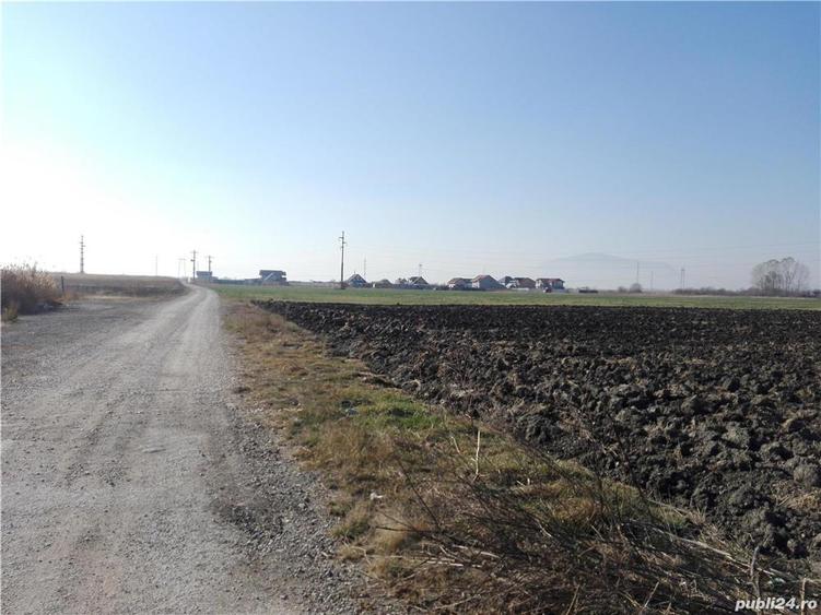Inchiriez sau vand teren Halchiu - 6