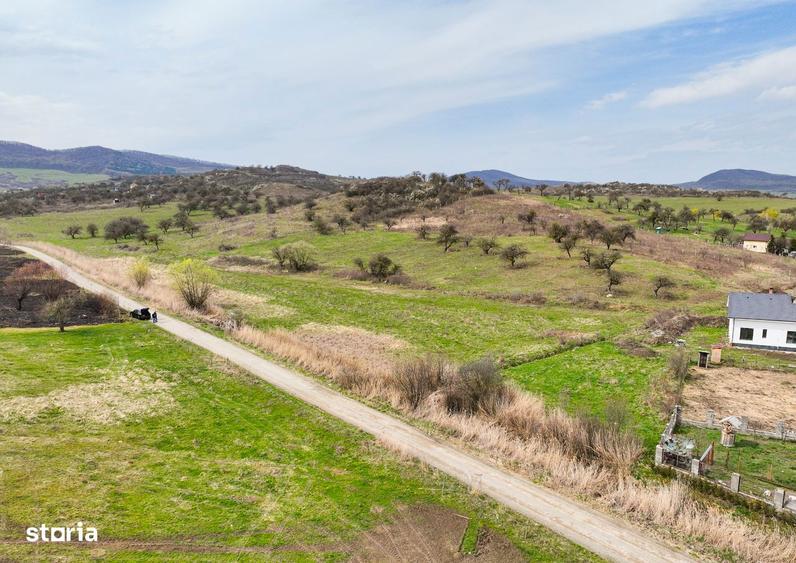 Teren parcelabil, 6.300mp, Zona Drumul Sigmirului - 1