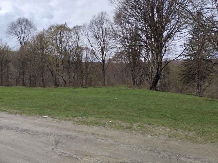 Vand Teren Valea Avrig - 5