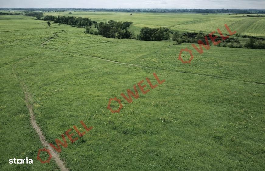 Teren extravilan de vanzare pe Dealul Bunica! - 3