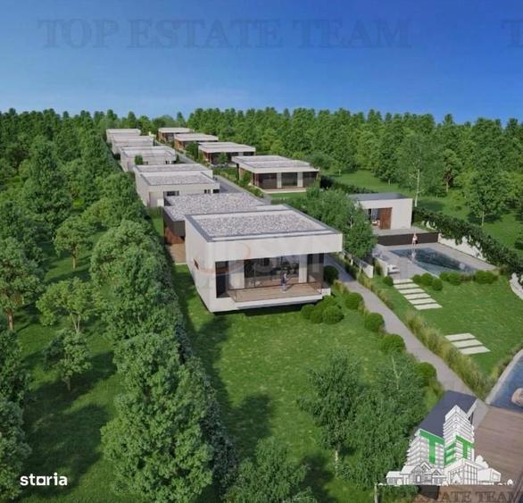 Teren Intravilan Cernica sat Tanganu lac pod 41079 mp - 3