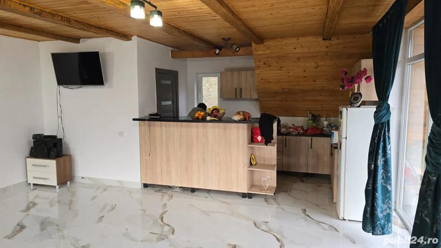 Vand cabana la munte - 7