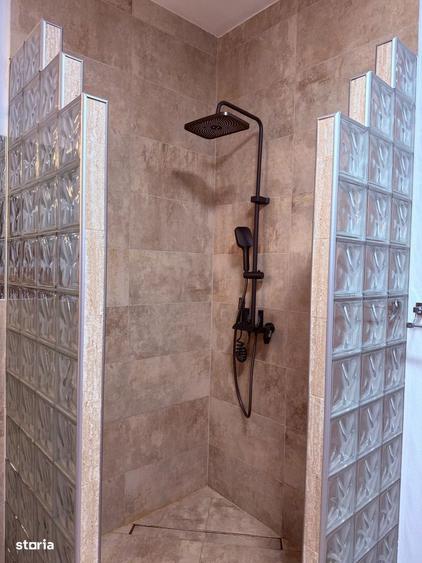 Vila deosebita in Bodrogul Nou - 1