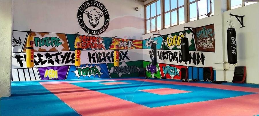 Spațiu de închiriat pt sala dansuri, gimnastica, sala sport -- 220mp - 5