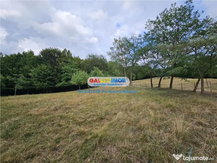 Teren 2680 m situat la Curtea de Arges cu iesire spre Trans - 8