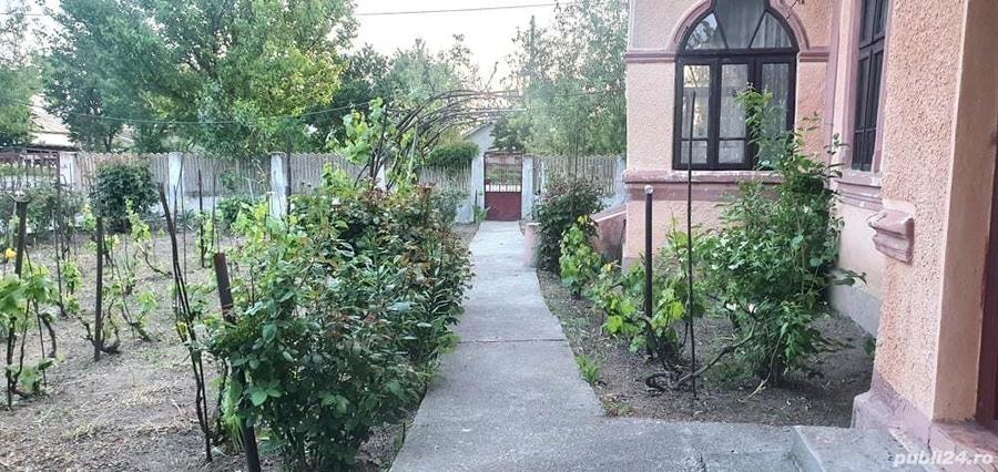 Casa Moldoveni Teleorman - 9