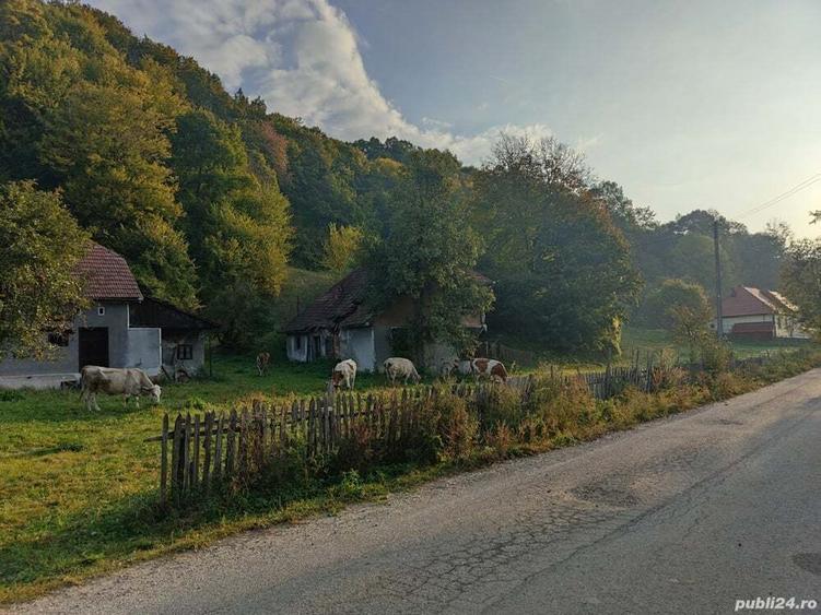 Casa de vanzare cu gradina teren de aprox 7000 mp,6.5 euro mp - 7