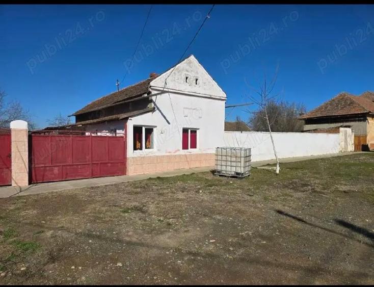 Vand casa Satchinez - 4