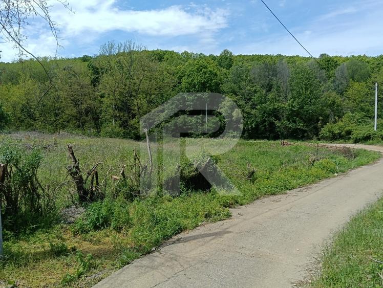 intravilan Tiparesti, relaxare aproape de padure - 4