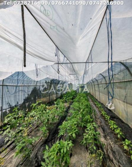 Casa situata in Samarinesti, sat Valea Bisericii - 12