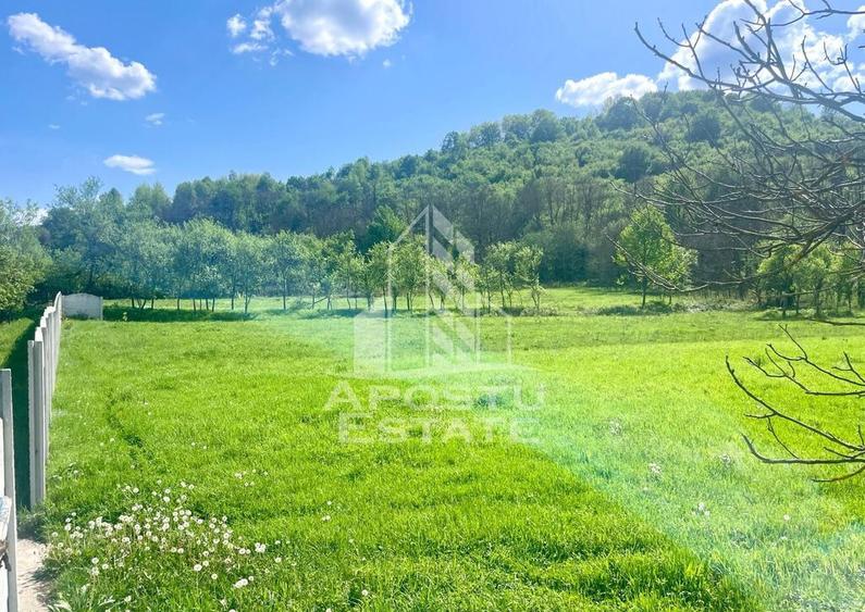 Teren intravilan, partial imprejmuit, eligibil grant- Poj... - 3