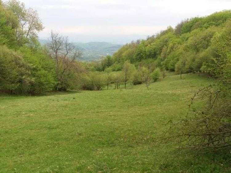 De vanzare aproape 3 Ha intr-o zona Climaterica, de o frumusete aparte - 2