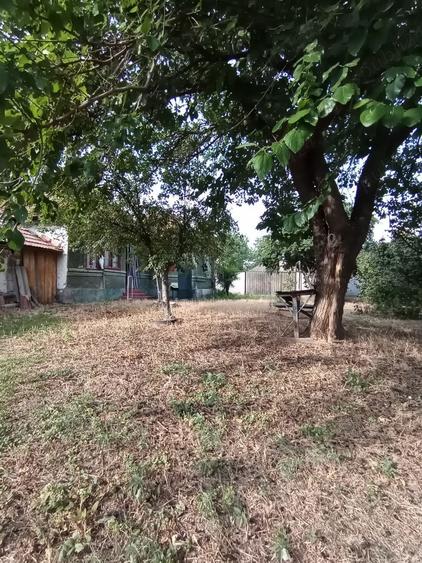 Vand teren intravilan(casa)Cioranca, Localitatea Movila Banului, Jud. Buzau - 10