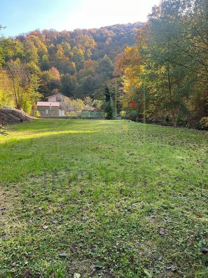 Proprietar. Vand teren. Paraul Runcu este limita de proprietate. Drum asfaltat - 1