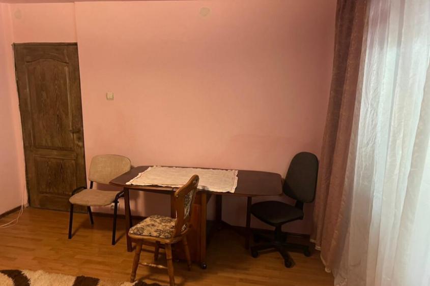Apartament cu o camera Sagului - 10