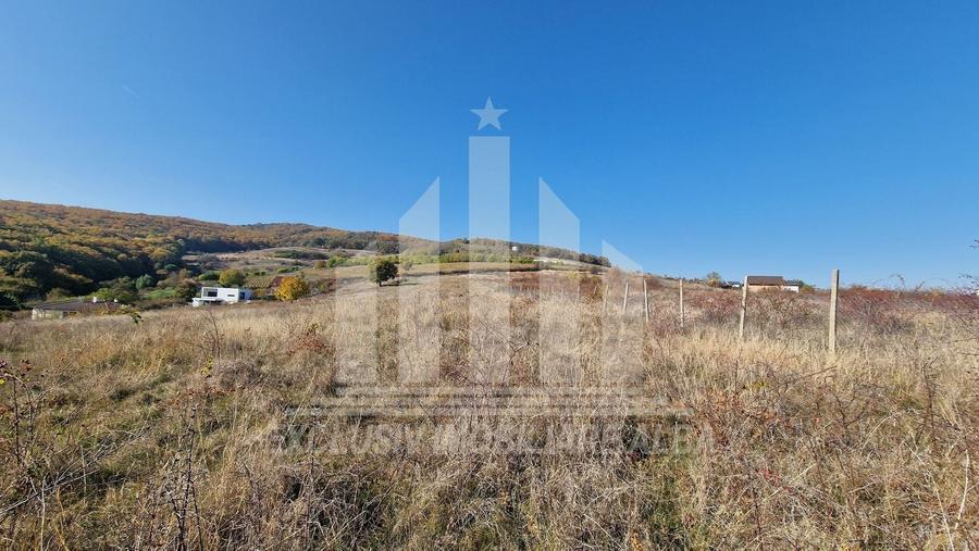 Teren intravilan | De vanzare | 3900 mp | 17 ml deschidere | Cetate - 1