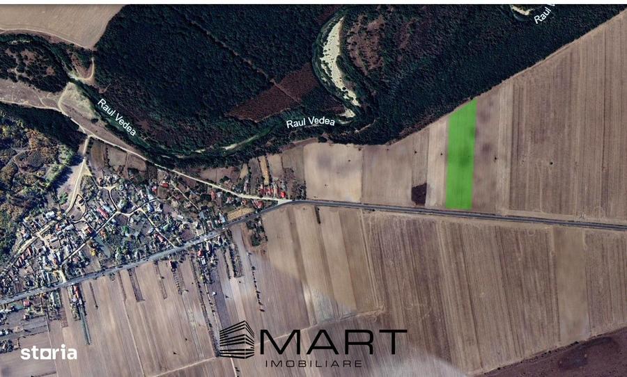 Teren arabil sat Cucueti - 1