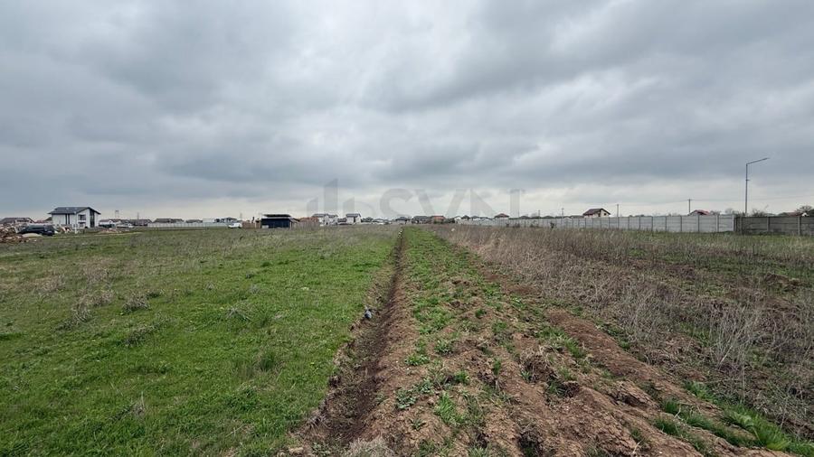 REL4001110 Teren I De Vanzare I Clinceni - 1