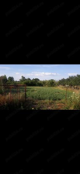 Vand cea mai IEFTINA cas din sat,2 camere - 6