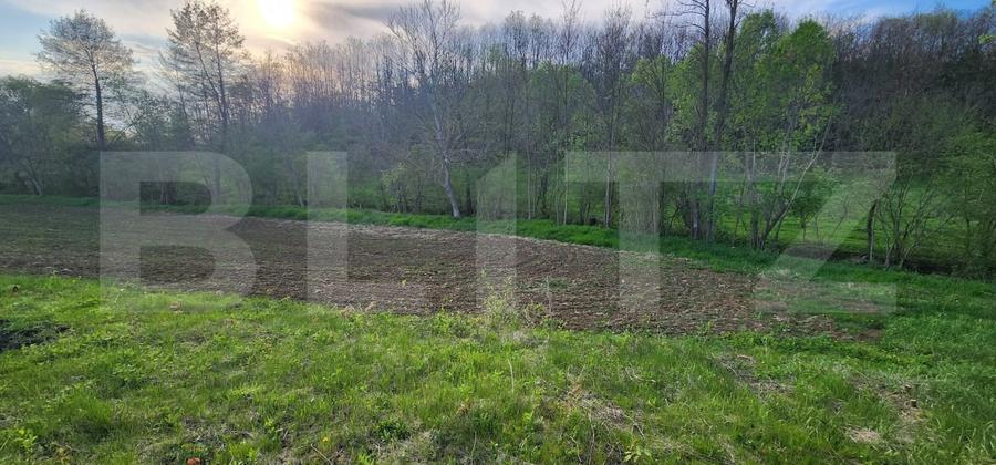 Teren 6650 mp, cu casa nefinalizata de 111 mp, in Nisipoasa. - 9