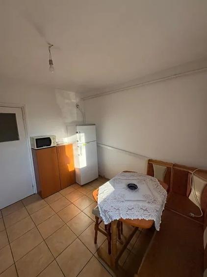 Apartament cu 2 camere, decomandat, PET FRIENDLY, zona Tudor - Iulius Mall - 5