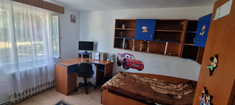Casa cu etaj si 955mp teren zona Drumul Tatarilor - 5