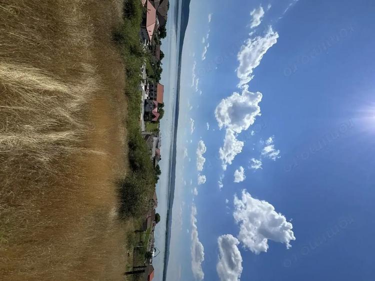 AC018 Teren Dunare 1195mp Vedere la Dunare 15.000Euro - 3