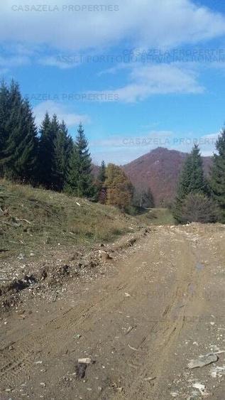 Teren in suprafata de 11 310  mp situat in Rasnov, Paraul Rece - 7