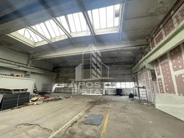 Hala depozitare, productie 1400 mp , platforma industriala, Buziasului - 1