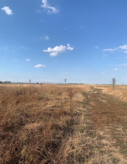 Matei Millo Serenety Vanzare Teren Intravilan- Teren intravilan  Voluntari - 3