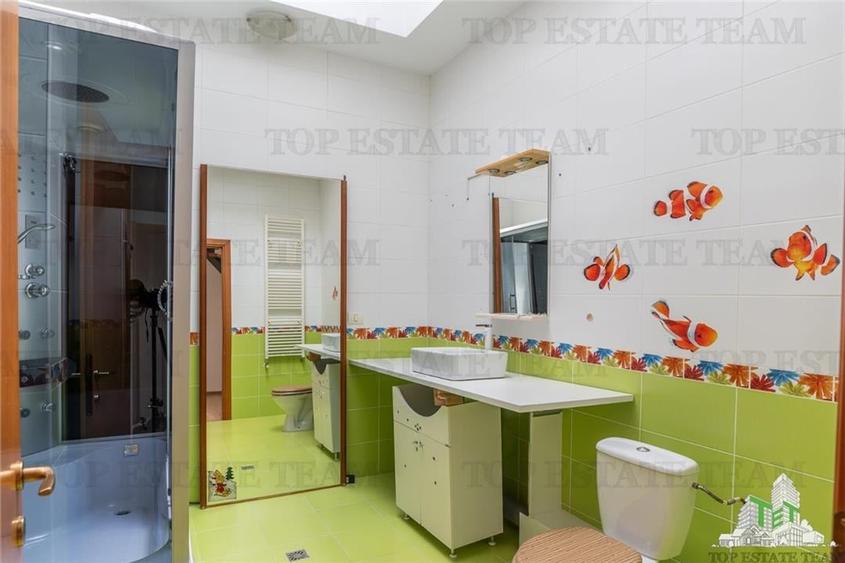 Vanzare vila Iancu Nicolae - 20