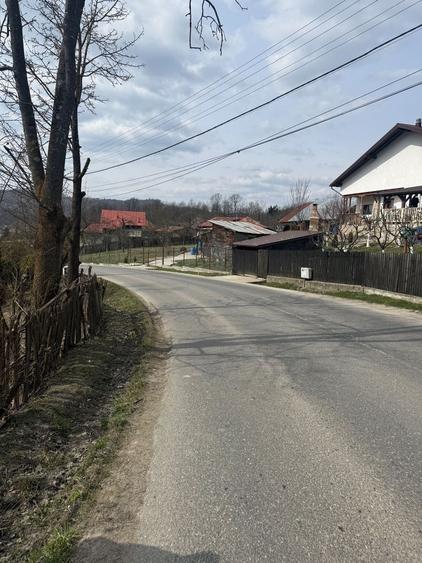 Teren intravilan la asfalt 2100 mp deschidere 21 mp la asfalt! - 8