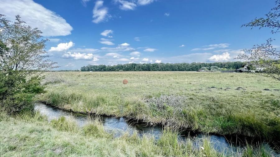 Teren Extravilan - 7