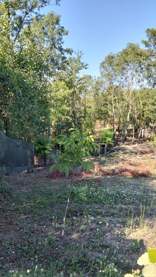 Casa batraneasca 18.000 euro - 6