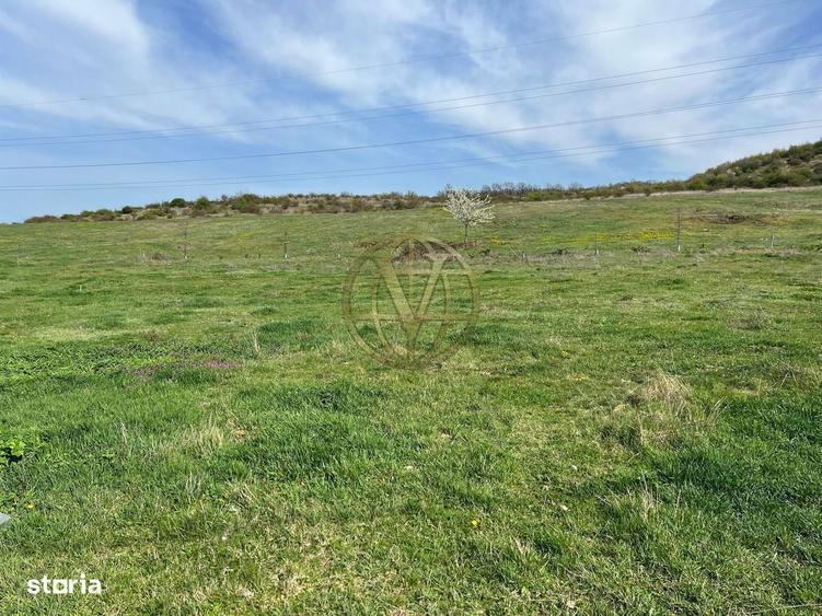 Teren intravilan, Betfia, Bihor - 2