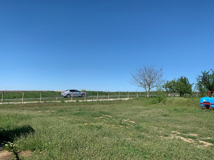 Fermă de vânzare - DN3 - 84m deschidere - 23