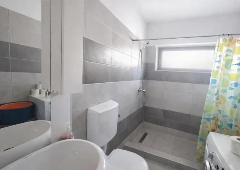 Casa deosebita cu curte proprie, proiect Valea cu Flori, Izv - 9