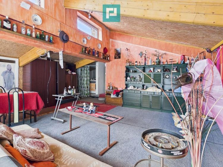 Proprietate multifuncțională central Arad - 28