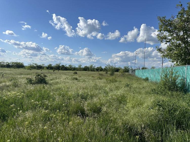 Teren de vanzare Fundeni, la doar 10 minute de Bucuresti! - 3