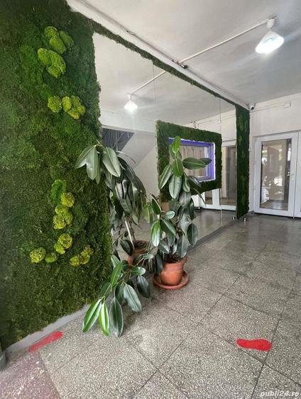 Spatii pretabile pt cabinete medicale stomatologie coafor frizerie cosmetica - 7