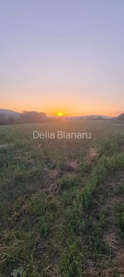 Teren extravilan 6883mp Odobesti