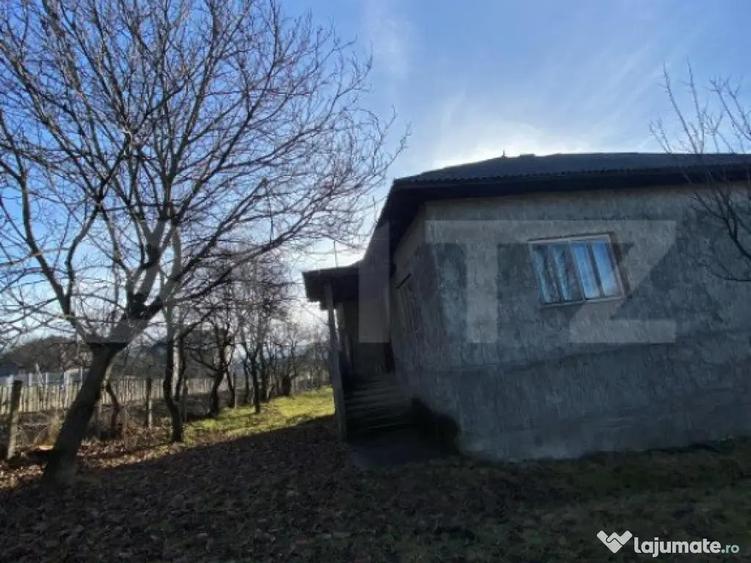 Casa de vanzare in Bistri?a-Bargaului cu 30 arii teren - 4
