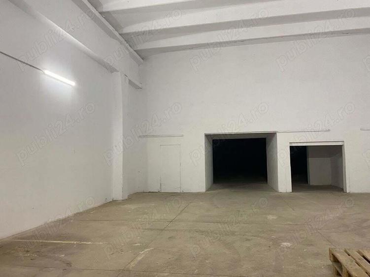 Spatiu SAD, Hala, depozit, Calea Aradului 246 - 486 mp - 4