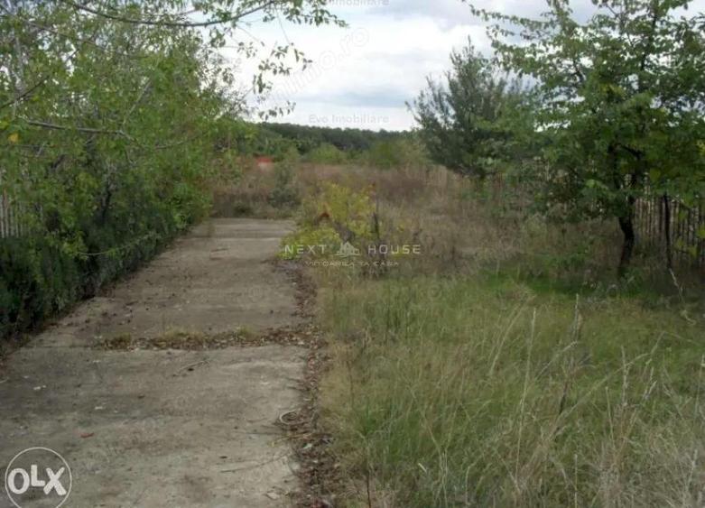 Teren la 35 km de Bucuresti - Izvorani - Ciolpani - 16