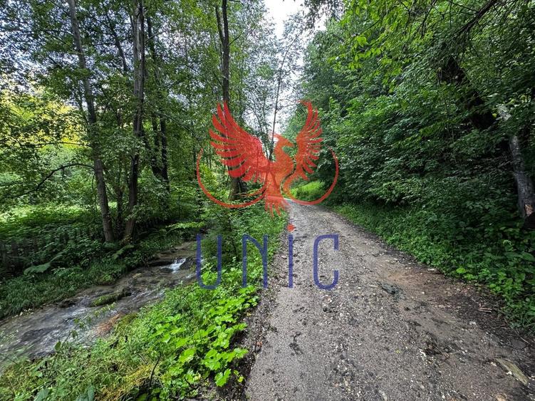 18000 mp de natura pura ,Lupeni, langa Straja - 32