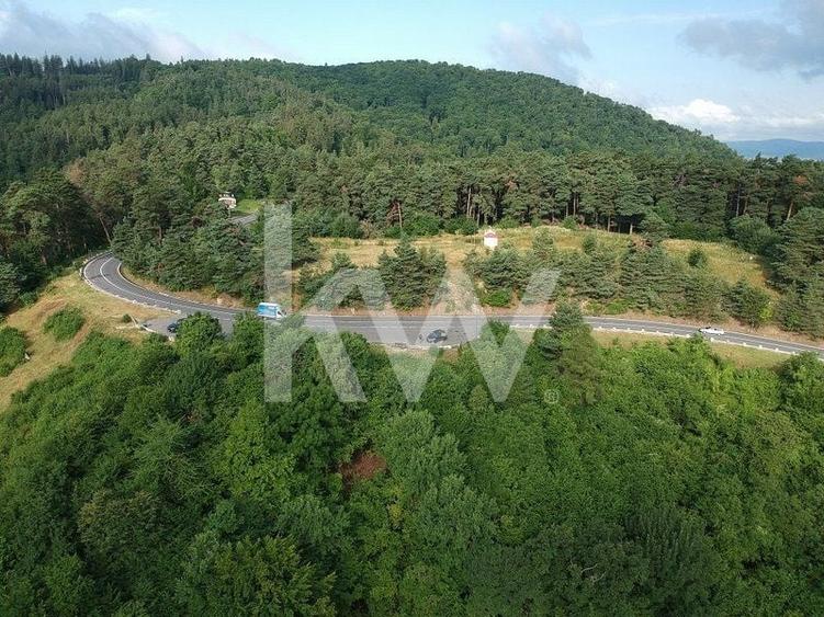 Teren Construcții intravilan de 6714 mp, în Drumul Poienii