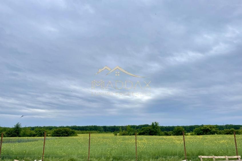 Vila exclusivista_P+1*5 Camere*Teren 704 mp*Langa Padure//Balotesti - 47