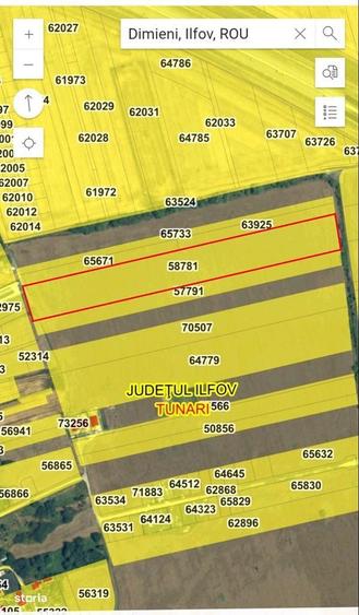 Teren intravilan TunariDimieni, 20.867 mp, ideal investitie - 3